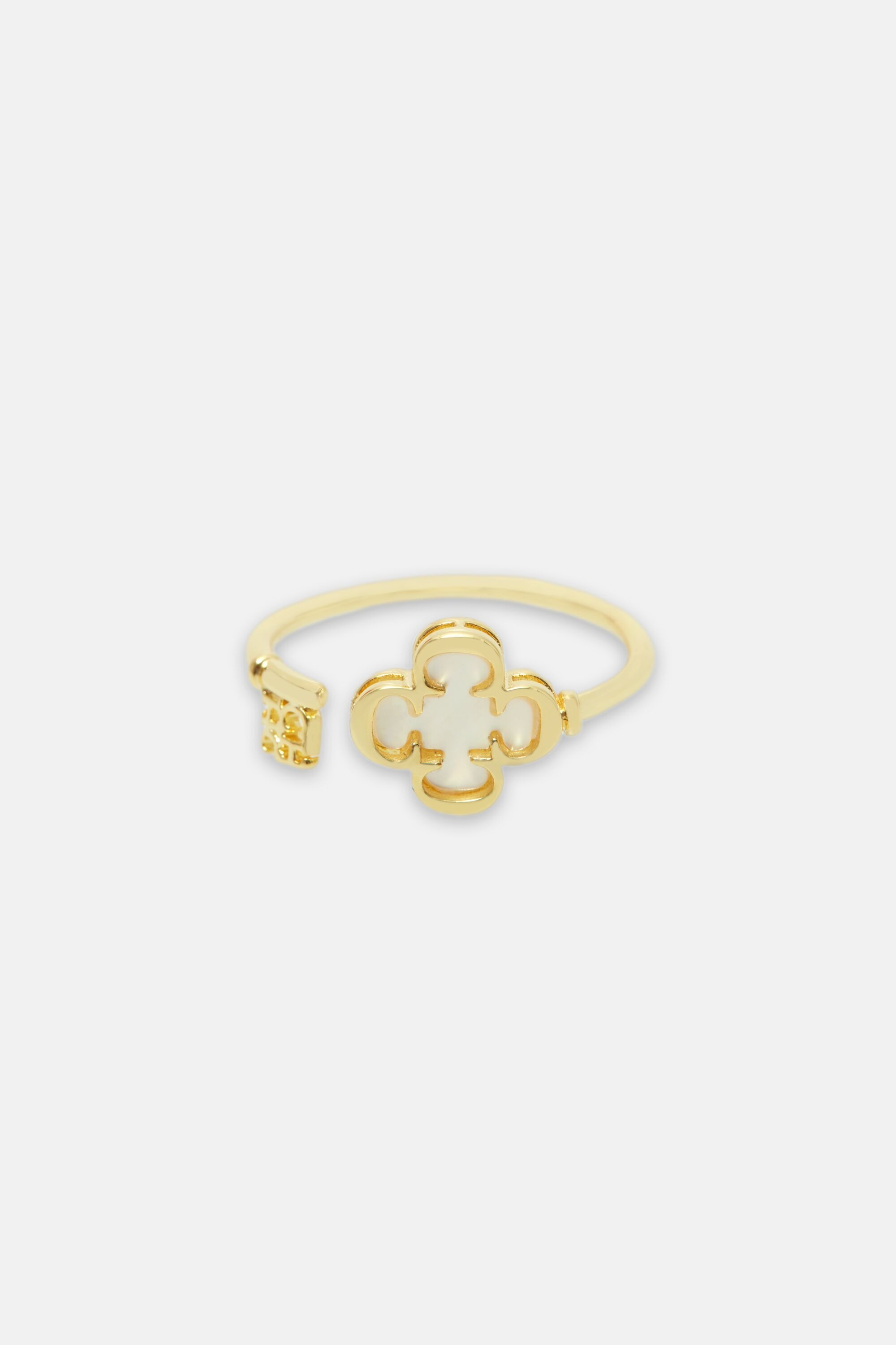 Rosetta Insignia keys ring